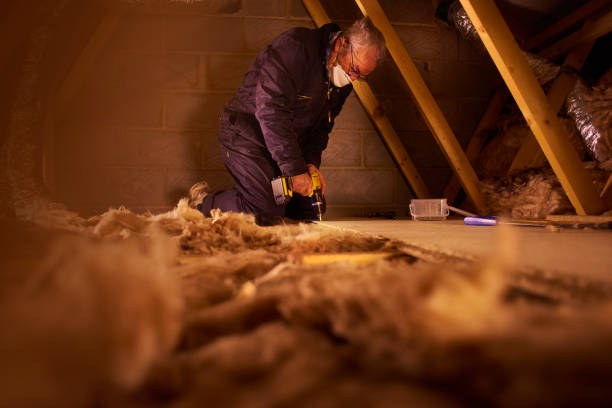 Best Basement Insulation  in Lansford, PA